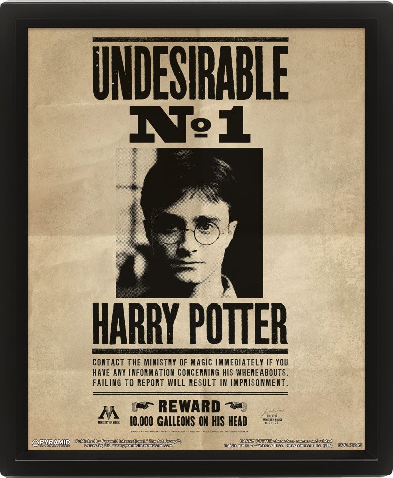 Harry Potter Framed 3D Effect Poster - Potter / Sirius 26 x 20 cm