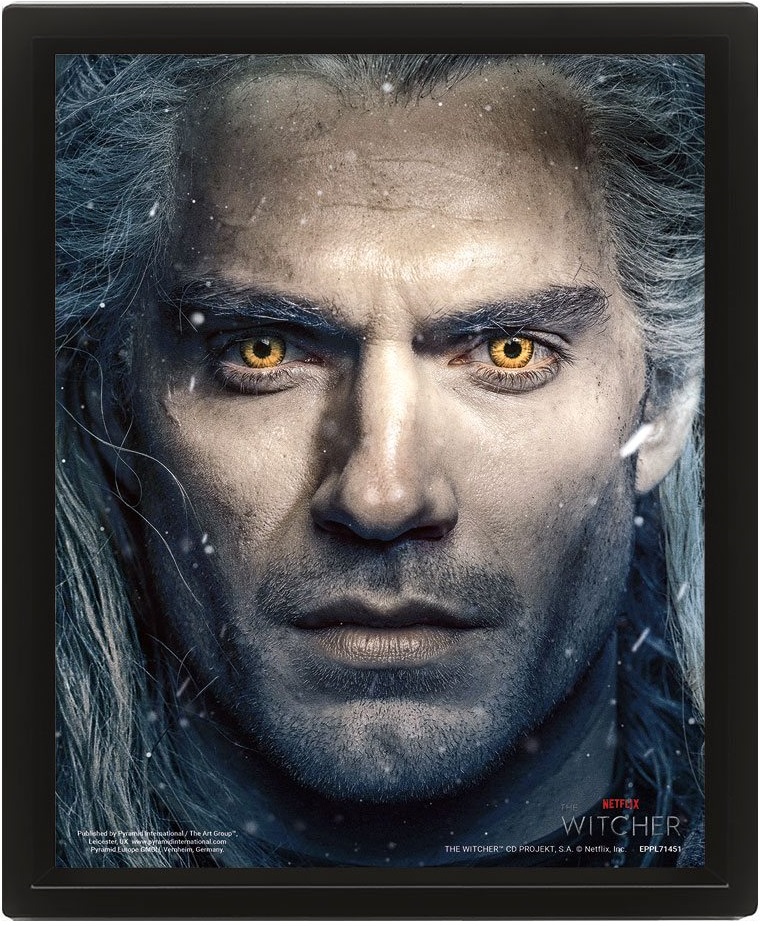 The Witcher Framed 3D Effect Poster - Intertwined 26 x 20 cm