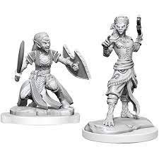 Dungeons & Dragons Nolzur's Marvelous Miniatures - Shifter Fighter Female