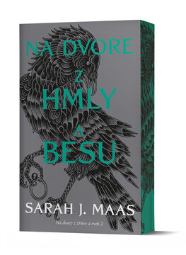 Na dvore (2) z hmly a besu [Maas Sarah J.]