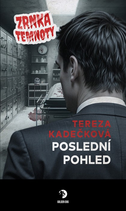 Poslední pohled [Kadečková Tereza]