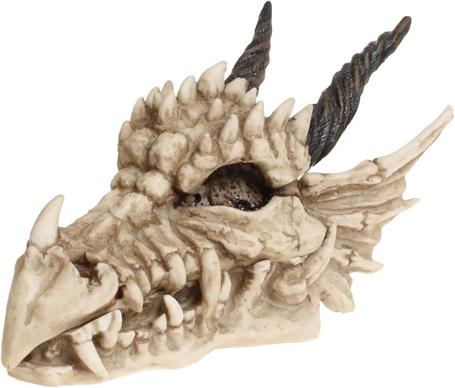 Dragon Skull Box 20 cm
