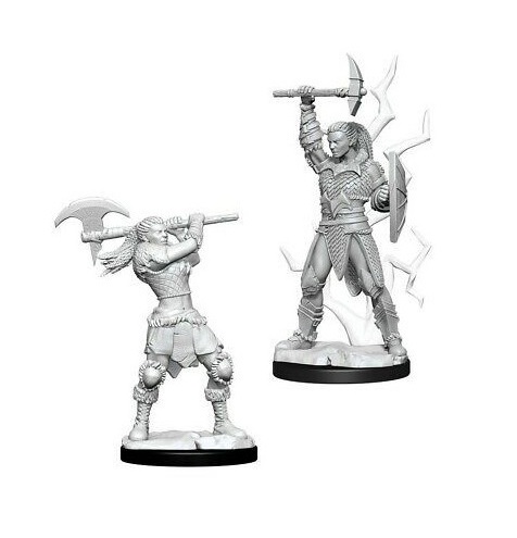Dungeons & Dragons Nolzur's Marvelous Miniatures - Goliath Barbarian Female 2-pack, 4 cm