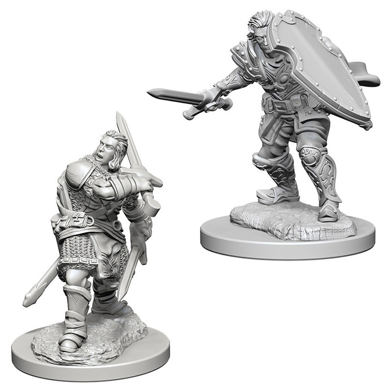 Dungeons & Dragons Nolzur's Marvelous Miniatures  - Human Paladin Male