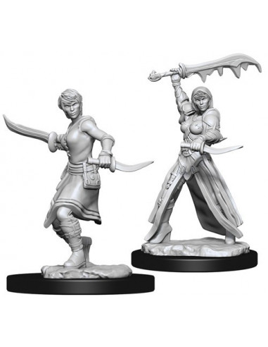 Dungeons & Dragons Nolzur's Marvelous Miniatures  - Human Rogue Female