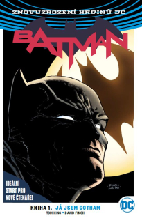 Batman 01: Já jsem Gotham [King Tom]