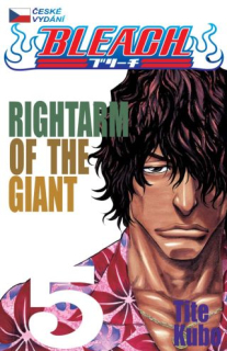 Bleach 05: Rightarm of the Giant CZ [Kubo Tite]