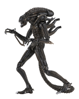 Aliens Action Figure 23 cm Ultimate Warrior Brown