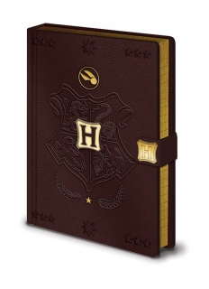 Zápisník - Harry Potter Premium Notebook A5 Quidditch