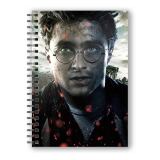 Zápisník - Harry Potter Notebook with 3D-Effect Harry Potter Face