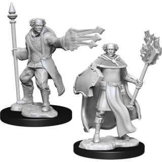 DD Miniatures - Multiclass Cleric + Wizard Male